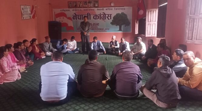 नेपाली काङ्ग्रेस दाङ प्रदेश २(२) मा विभिन्न विभाग गठन