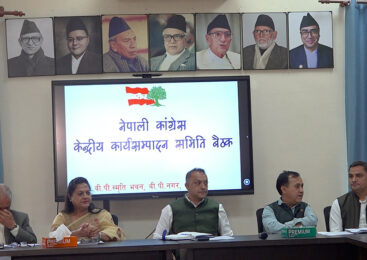 काँग्रेसको केन्द्रीय कार्यसम्पादन समितिको बैठकले के के निर्णय गर्यो ?